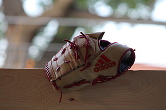 Tan and Red Adidas Baseball Glove on Wooden Fence
