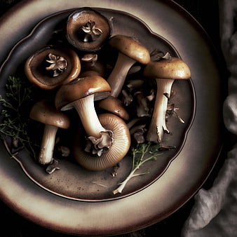 Fresh King Oyster Mushrooms on Ceramic Plate Top View