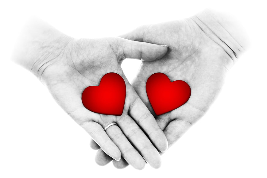 Two Hands Holding Red Hearts Isolated on White Background