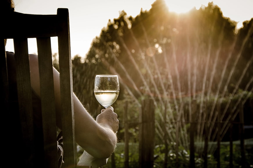 Person Holding Wine Glass in Vineyard at Sunset