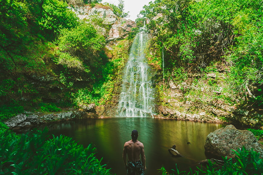 Man Standing Before Lush Tropical Waterfall in Forest