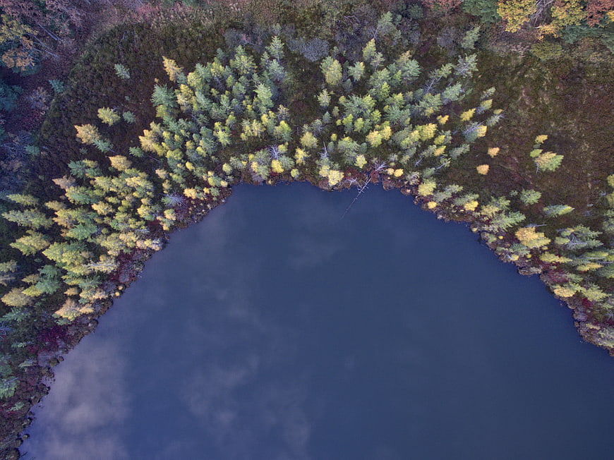 Aerial View of Autumn Forest Lake with Blue Water