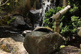 Traditional Japanese Garden Water Feature With Bamboo Spout And Stone Basin