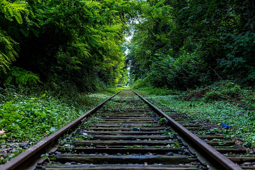 Overgrown Railway Tracks in Lush Green Forest