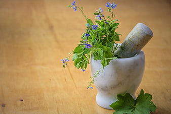 Mortar and pestle with fresh green herbs and purple flowers on wooden table