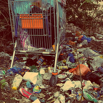 Shopping cart overflowing with trash in a polluted forest