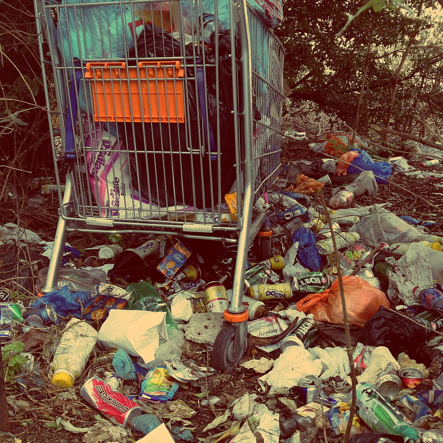 Shopping cart overflowing with trash in a polluted forest