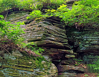 Layered Green Rock Formation with Moss and Foliage