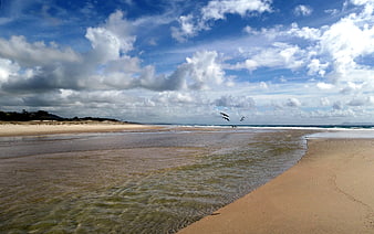 Wide sandy beach with flowing stream and flying seagulls