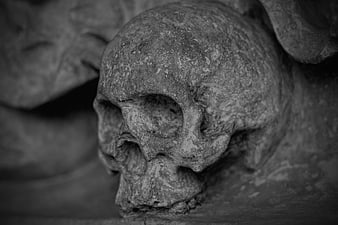 Close-up of weathered stone skull sculpture in black and white