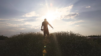 Silhouette of Man Standing in Flower Field at Sunset