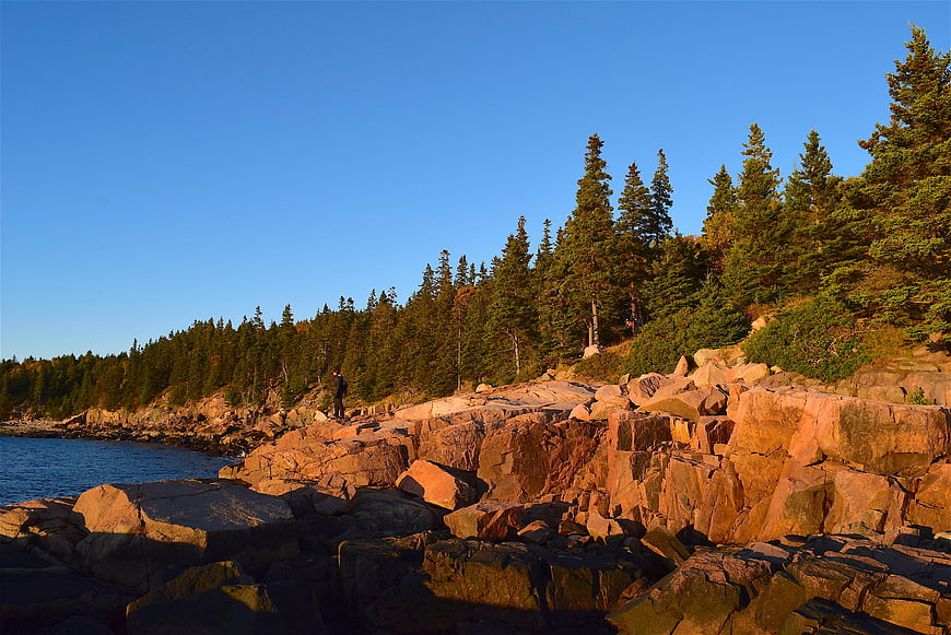 Sunlit Rocky Coastline with Pine Forest and Blue Sky