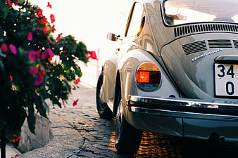 Vintage Volkswagen Beetle Rear View on Cobblestone Street