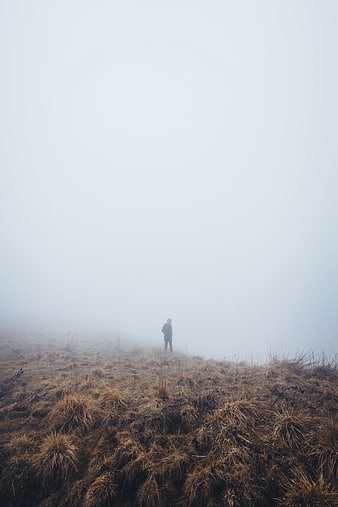 Lone Hiker Standing in Foggy Highland Grass