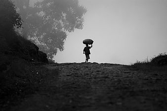 Silhouette of a boy carrying a load on a foggy rural path