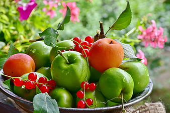 Fresh green apples and apricots in metal bowl with red currants