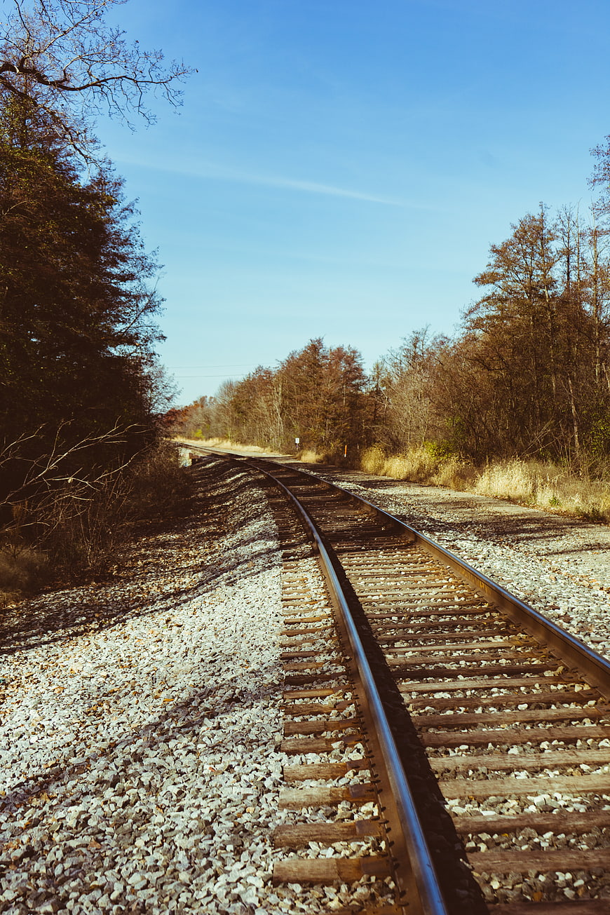Empty Railroad Tracks Curving Through Autumn Forest