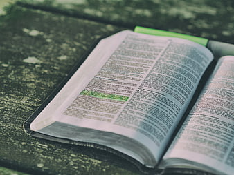 Open Bible with Highlighted Verses on Textured Surface