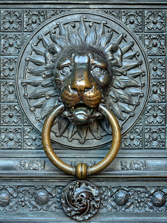 Close-up of ornate lion head brass door knocker on antique metal door