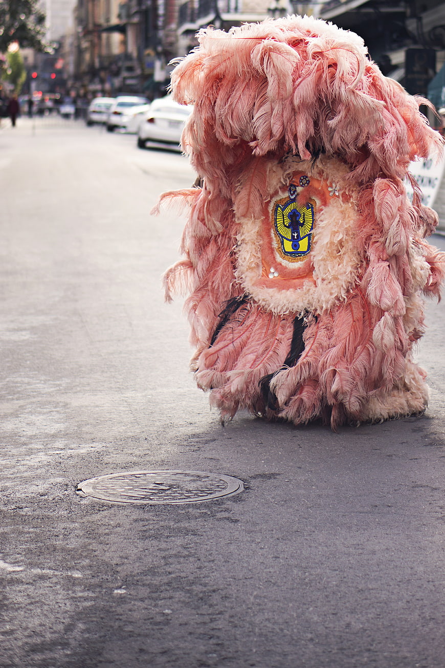 Pink feathered carnival costume on city street