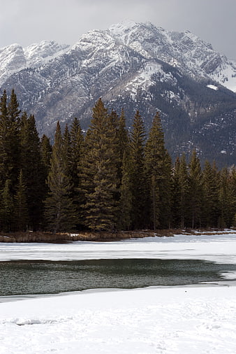 Snowy mountain landscape with evergreen forest and frozen lake