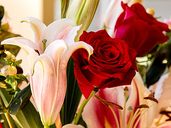 Close-up of red roses and pink lilies in a bouquet