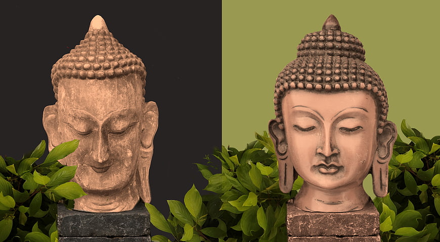 Two Buddha Heads on Pedestals with Green Leaves