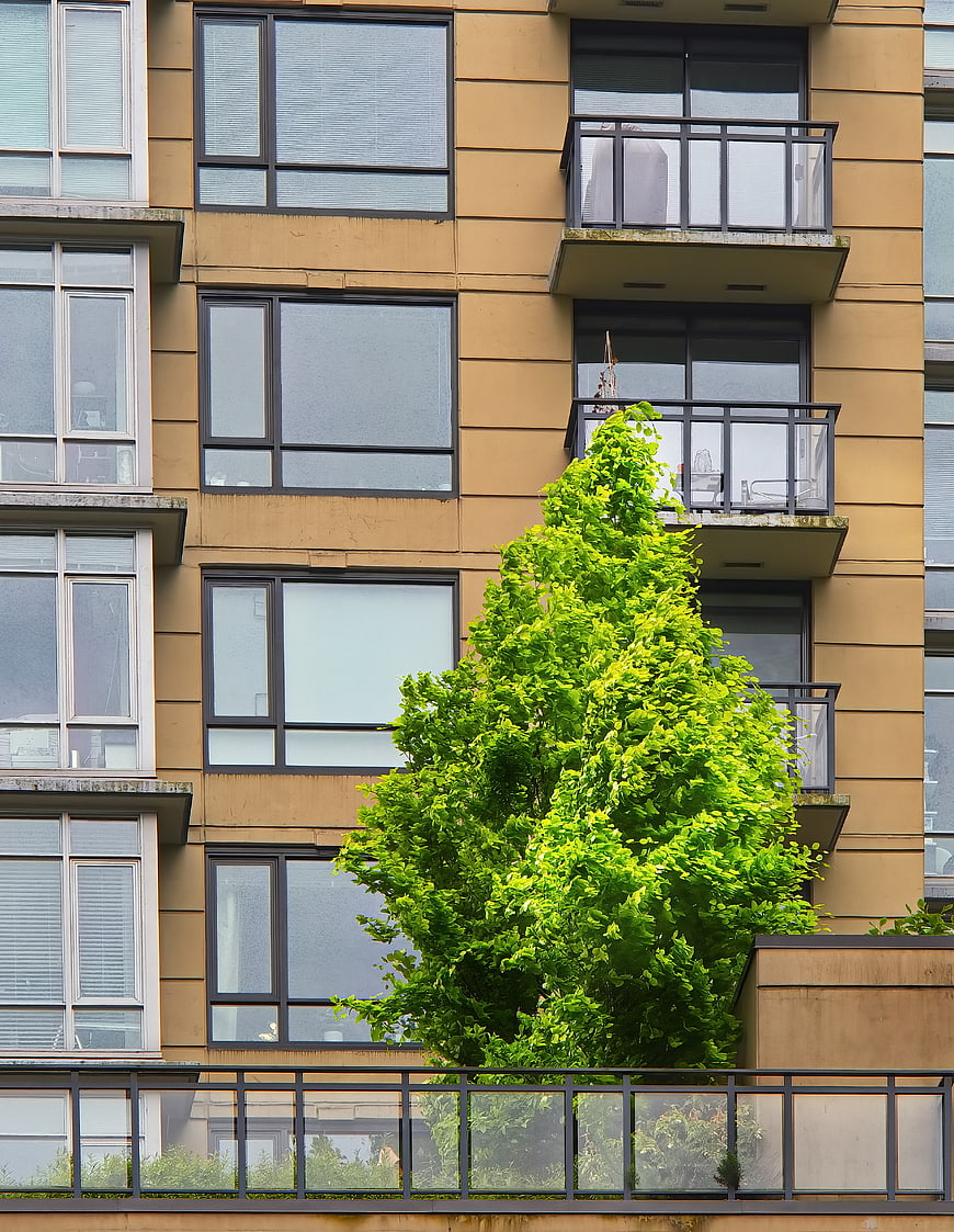 Modern Apartment Building Facade with Green Tree
