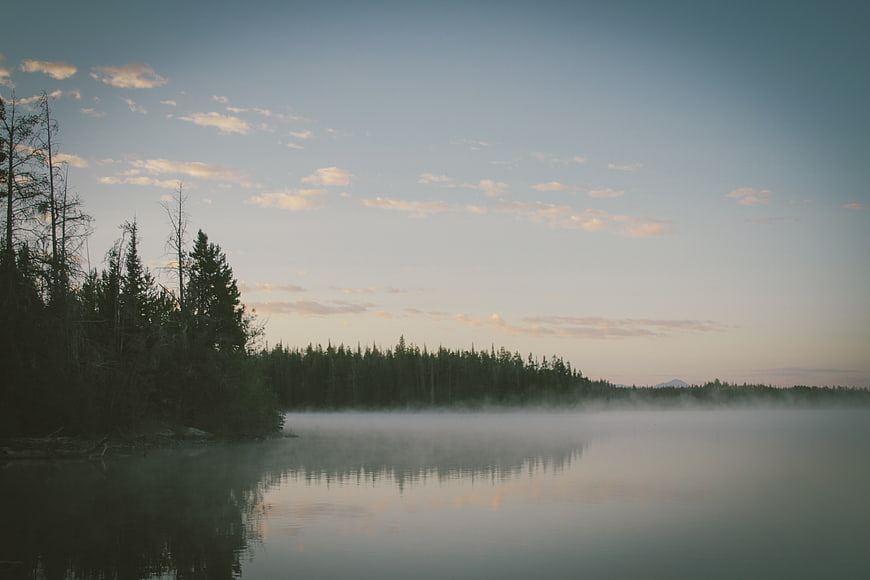 Serene Misty Lake at Dawn with Pine Forest