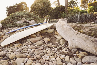 White surfboard resting on rocky beach with driftwood