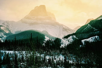 Majestic Snow-Capped Mountain Peak in Winter Forest Landscape