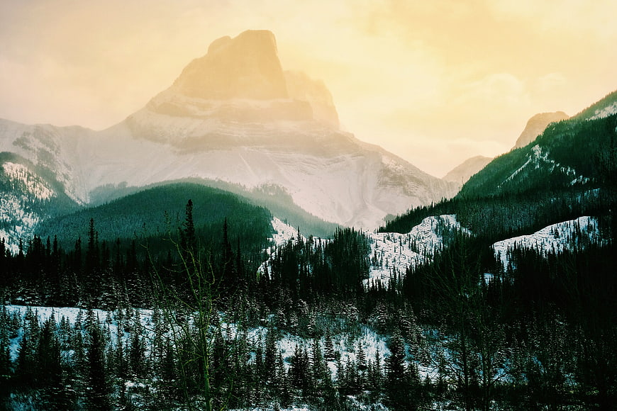 Majestic Snow-Capped Mountain Peak in Winter Forest Landscape