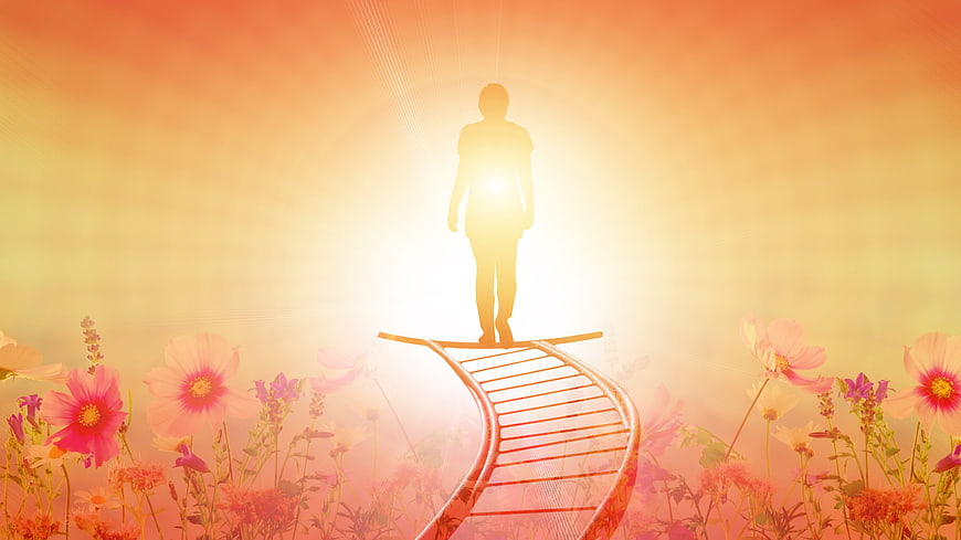 Silhouette of person standing on DNA helix in flower field