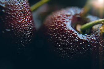 Macro Close-Up of Wet Red Cherries with Water Droplets