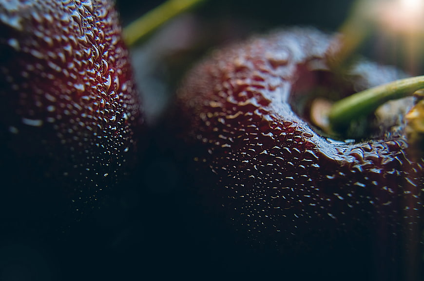 Macro Close-Up of Wet Red Cherries with Water Droplets