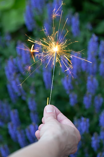 Hand Holding Glowing Sparkler Against Blue Flowers