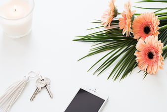 Flat lay of keys, smartphone, flowers, and candle on white background