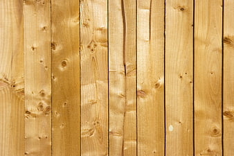 Vertical Light Pine Wood Plank Wall Texture Background