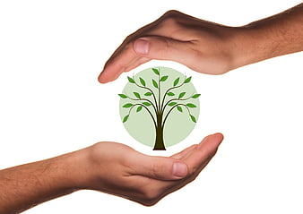 Hands Protecting Tree Icon Concept for Environmental Conservation