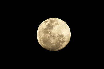 Full Moon Close Up Against Black Night Sky Background