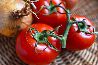 Fresh red tomatoes on the vine and onion in a basket