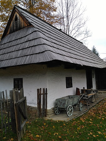 Traditional white house with wooden shingle roof in autumn