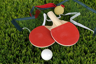 Table tennis paddles, ball, and gold medal on artificial grass