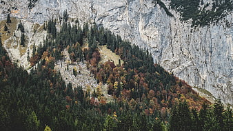 Autumn mountain landscape with colorful forest and rocky cliffs
