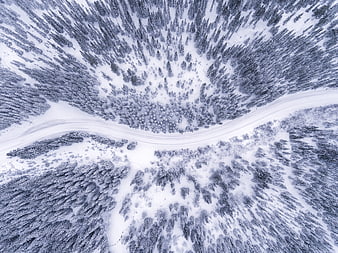 Aerial View of Snowy Forest and Winding Winter Road
