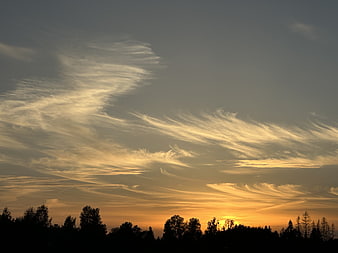 Dramatic sunset sky with wispy clouds over forest silhouette