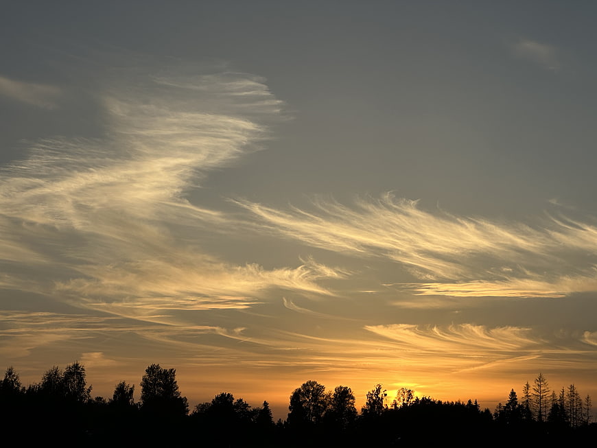 Dramatic sunset sky with wispy clouds over forest silhouette