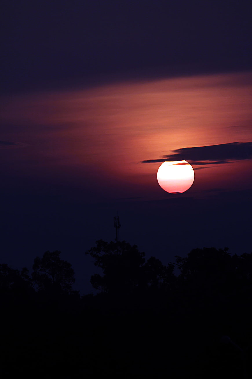 Sunset Over Silhouetted Trees And Dark Sky