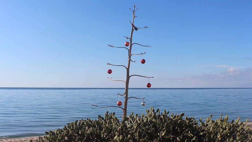 Christmas Tree on Beach with Red Ornaments and Sea View