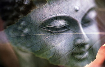 Double exposure of Buddha statue and green leaf